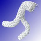 Endurant™ AAA stent graft system