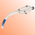 EnligHTN™ Renal Denervation System