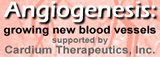 Angiogenesis Center
