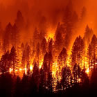 California Fires
						