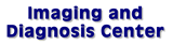 Imaging and Diagnosis Center