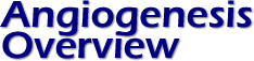 Angiogenesis Overview