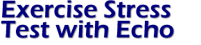 Exercise Stress Test